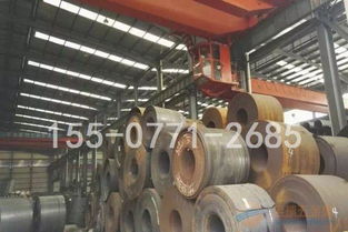 普通板 卷 材 廠家 普通板 卷 材 價格,采購,圖片