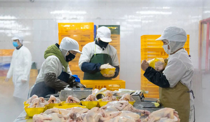 液氮速凍機助力預(yù)制菜行業(yè)還原度問題