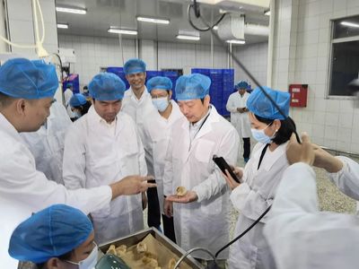 楊綠峰調(diào)研玉林?jǐn)?shù)字化轉(zhuǎn)型發(fā)展情況