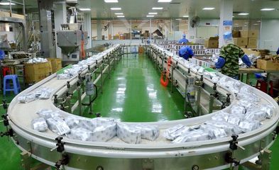 【茗邊聚焦】梧州六堡茶系列報道之三中茶窖藏六堡茶:一杯六堡茶,半部外貿史